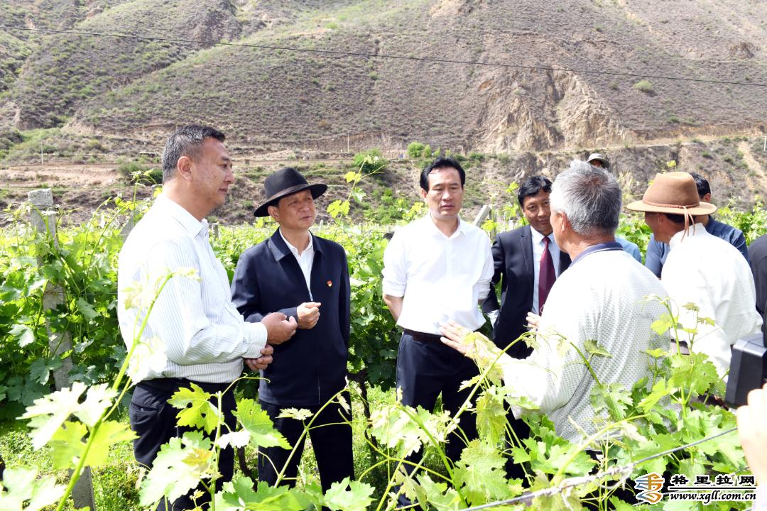 1653382281565099388.jpg 222222222.jpg