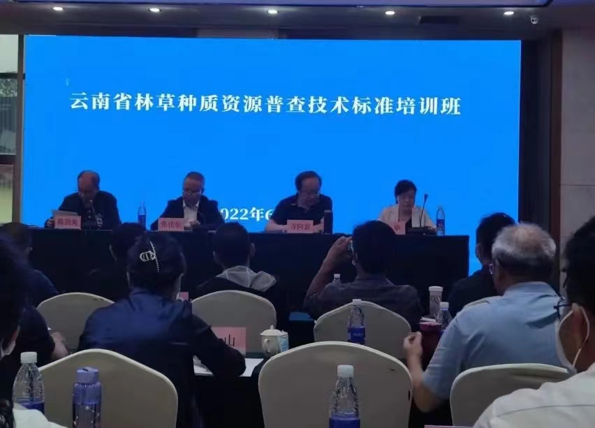 1657263980393080428.jpg 1657263980393080428.jpg