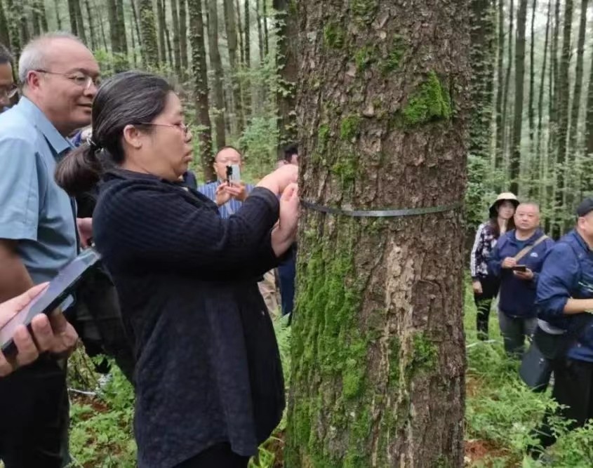 1657264166847070312.jpg 1657264166847070312.jpg