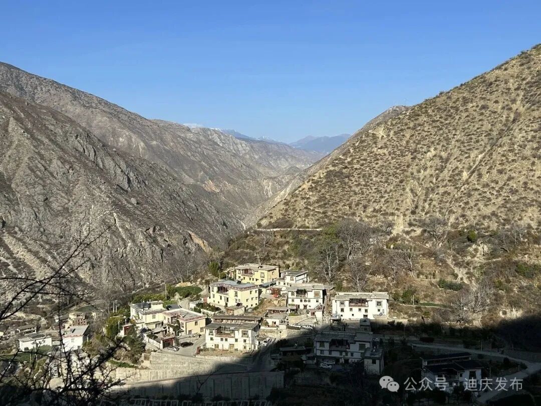 1770708274170081900.jpeg 21.jpeg