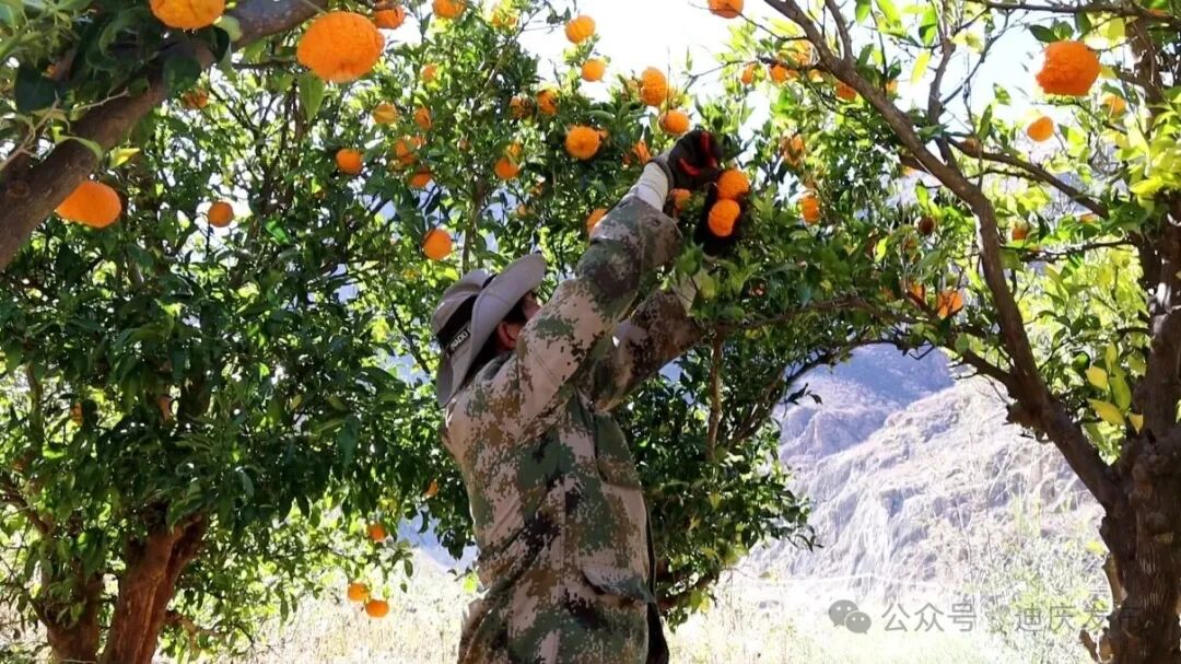 1770708301612070772.jpeg 22.jpeg