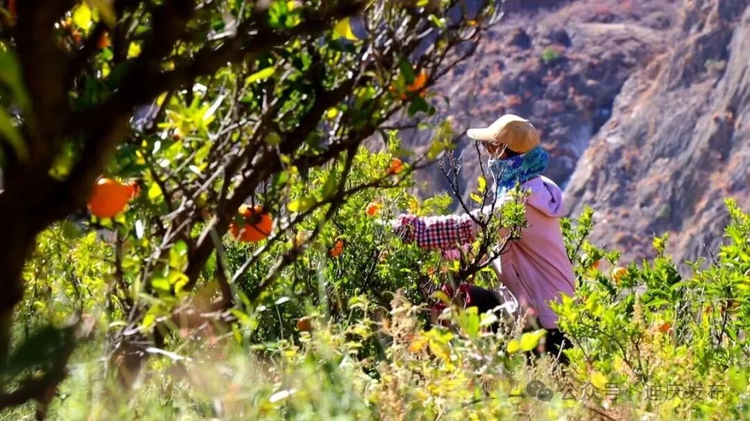 1770708363221046374.jpeg 25.jpeg