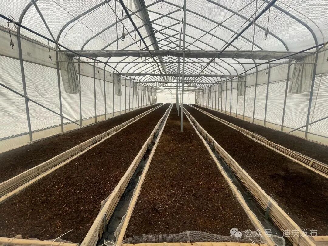 1774609867042095892.jpg 3.jpg