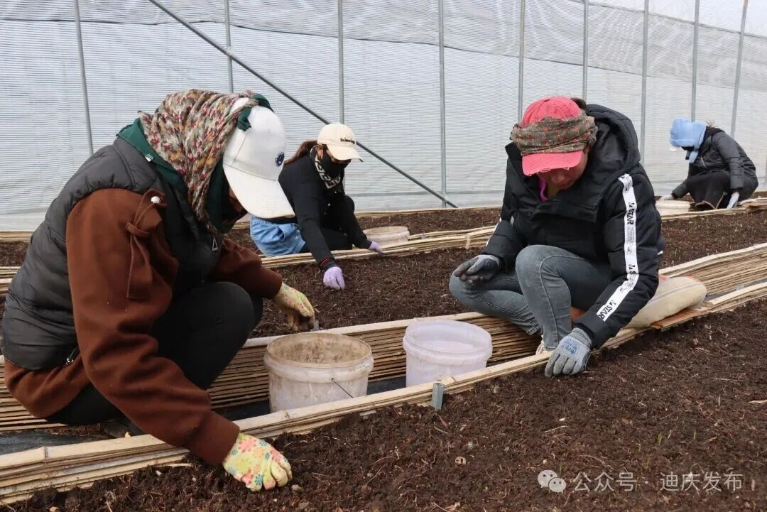 1774609879080015129.jpg 4.jpg