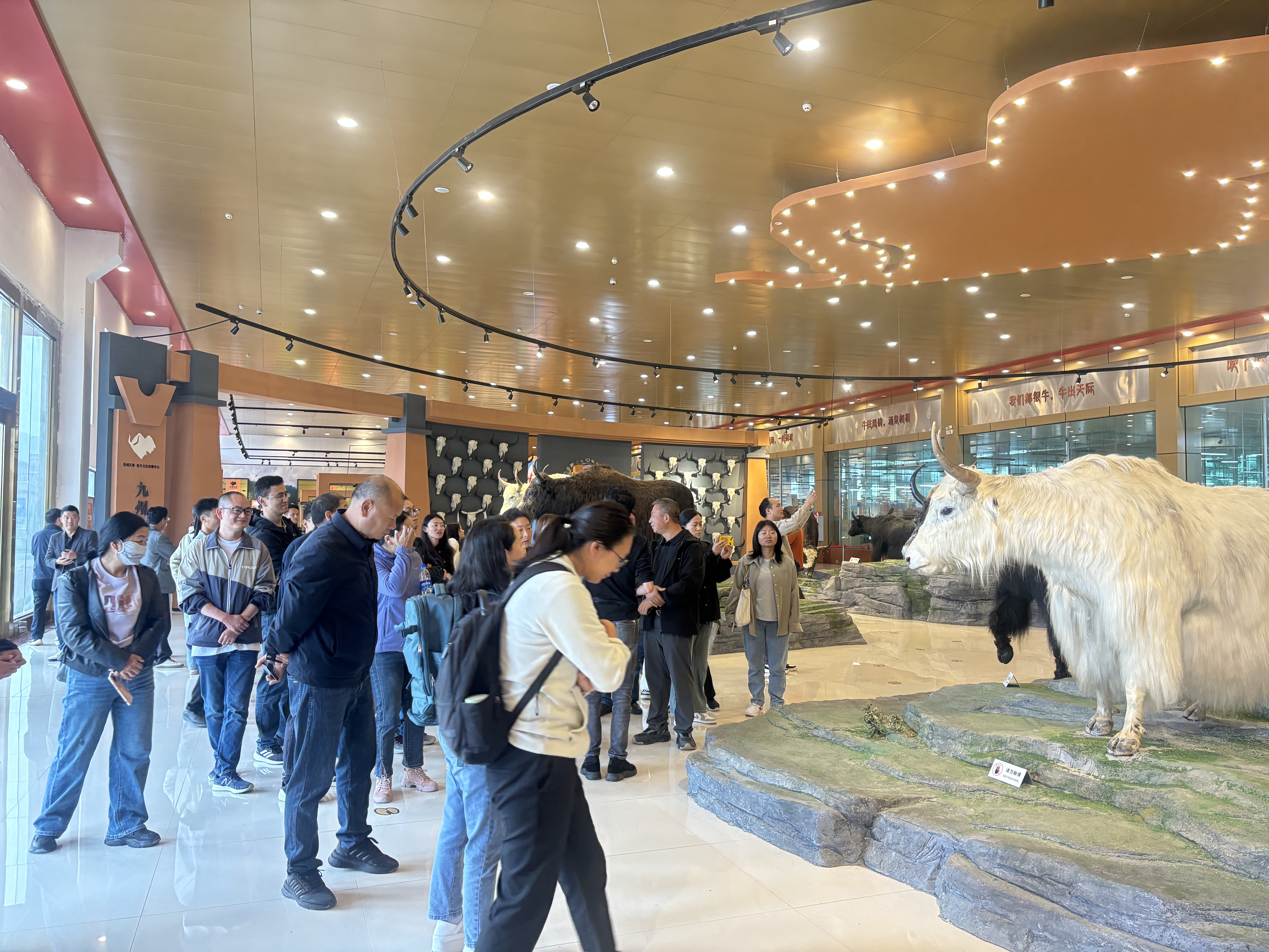 1725588696992093059.jpg 微信图片_20240906101526.jpg