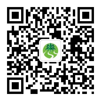 森林迪庆政务新媒体二维码