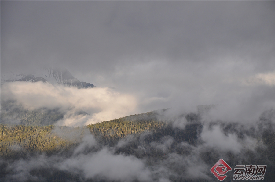 C:\Users\yq\Desktop\1 _20191218085515.jpg C:\Users\yq\Desktop\1 _20191218085515.jpg