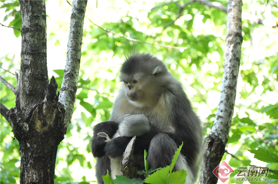 C:\Users\yq\Desktop\2 _20191218085531.jpg C:\Users\yq\Desktop\2 _20191218085531.jpg