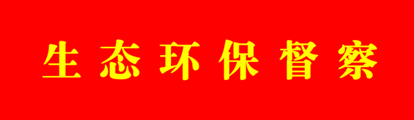 环保督察_副本.png