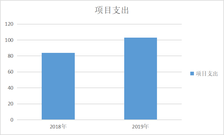 项目支出.png