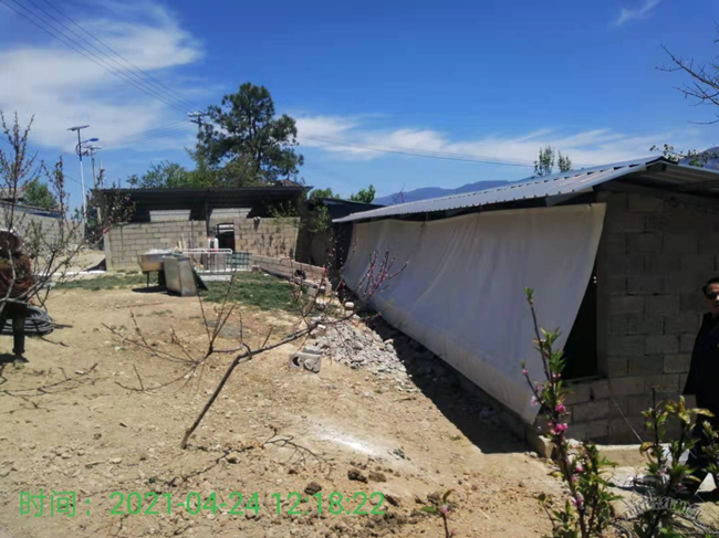 4.27 维西养猪_副本.png