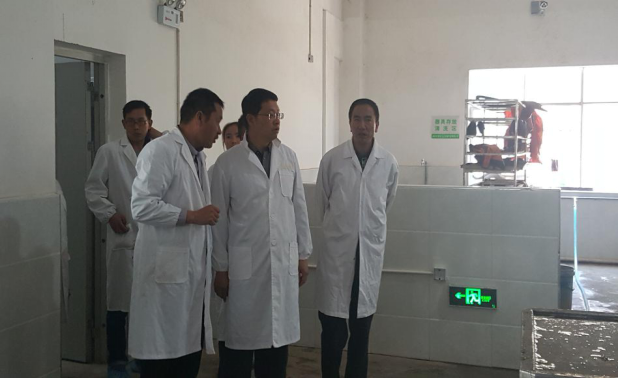 图片10.png 图片10.png