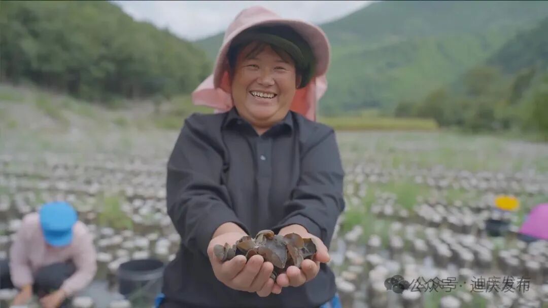 1776069001677054302.jpeg 3.jpeg