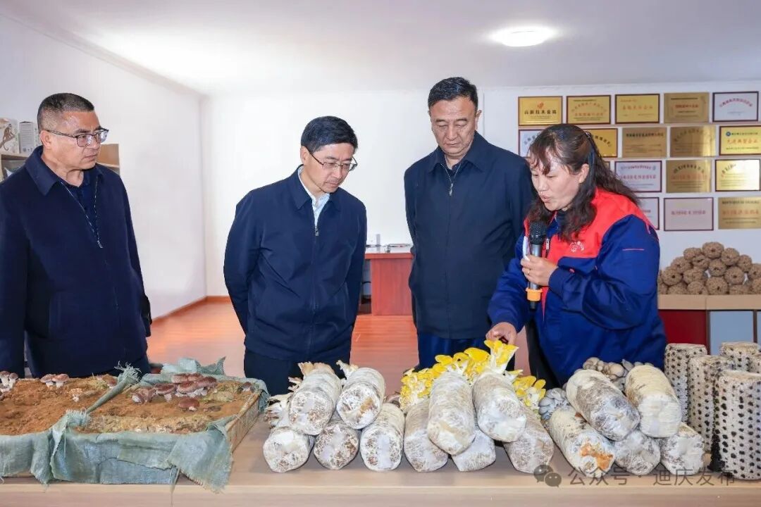 州委州政府召开维西县项目建设现场会强调：坚定信心 攻坚克难 以维西之进为全州经济社会发展作出积极贡献