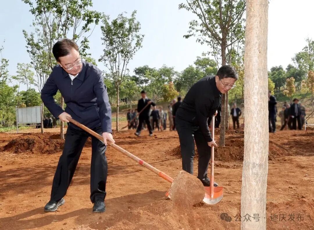 云南省委书记：把树种在群众身边